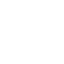 insect