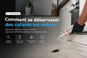 Comment se débarrasser des cafards soi-même ?